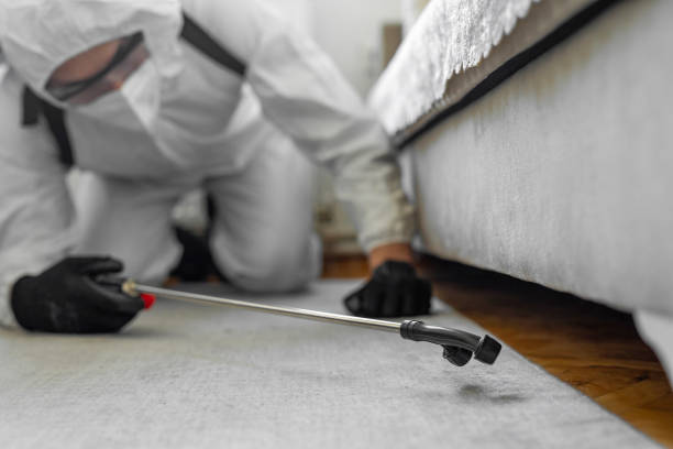 Professional Mosquito Control technician working in Bloomfield, NM