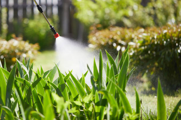 24/7 Emergency Mosquito Control experts in Bloomfield, NM