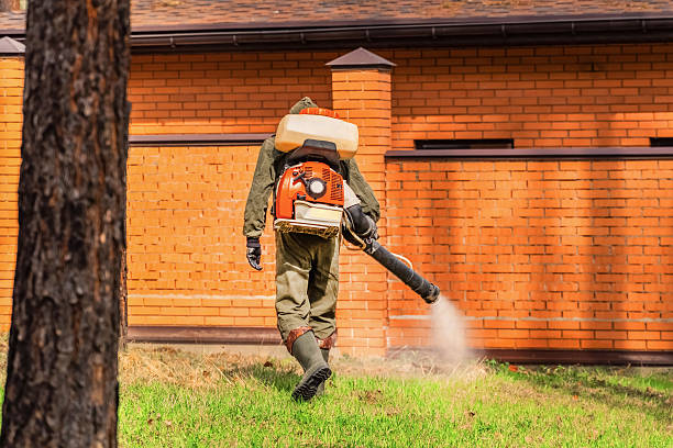 Trusted Mosquito Control service in Bloomfield, NM - Nex Pest Control